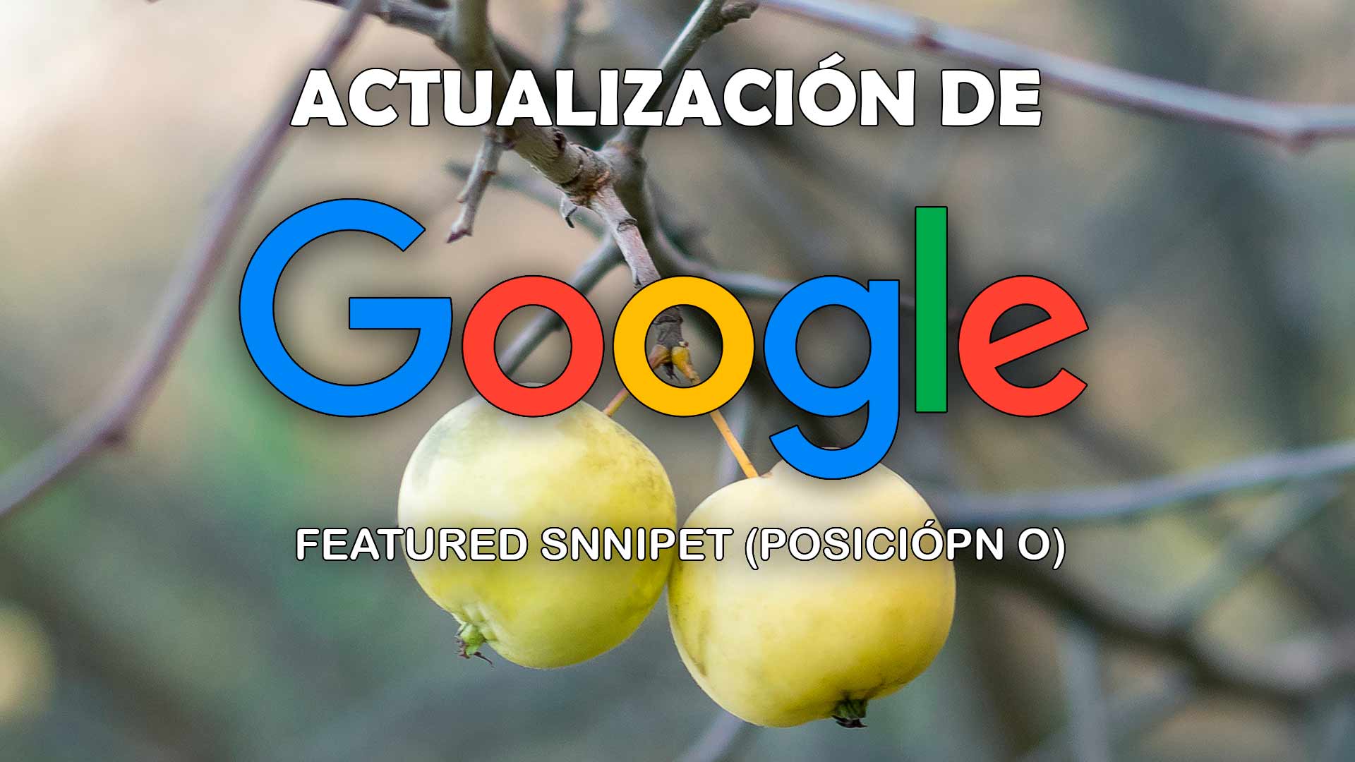 Actualización de Google Featured Snippet enero 2020